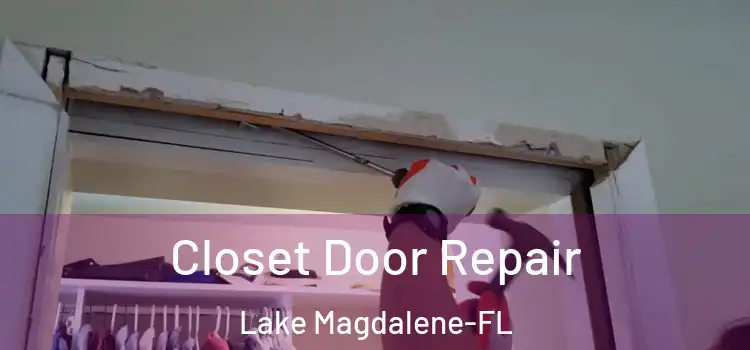 Closet Door Repair Lake Magdalene-FL