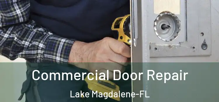 Commercial Door Repair Lake Magdalene-FL