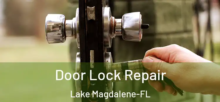 Door Lock Repair Lake Magdalene-FL
