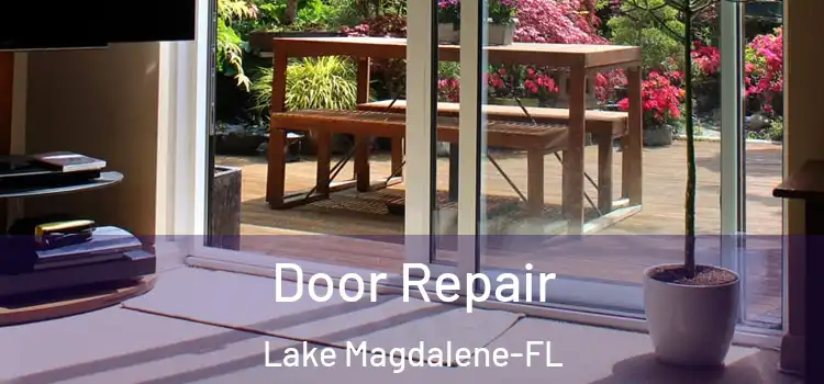 Door Repair Lake Magdalene-FL