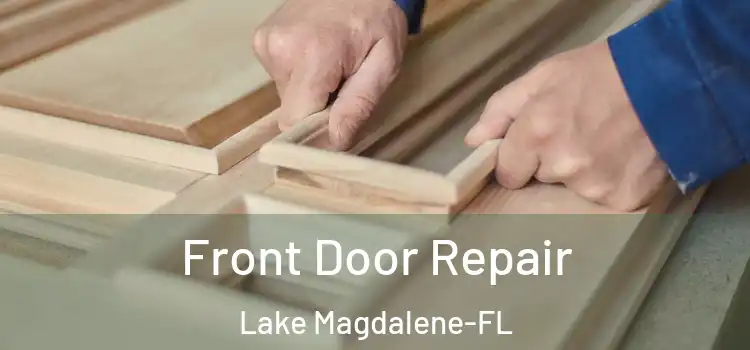 Front Door Repair Lake Magdalene-FL