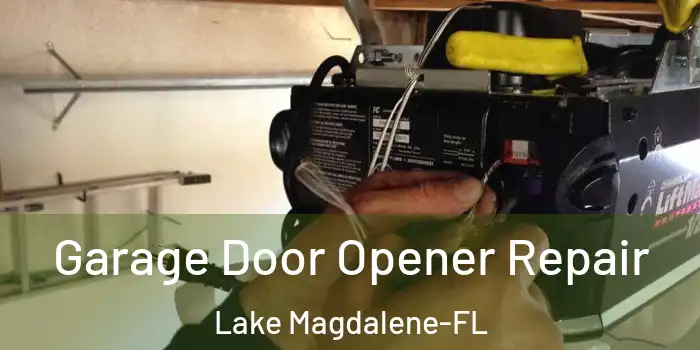 Garage Door Opener Repair Lake Magdalene-FL