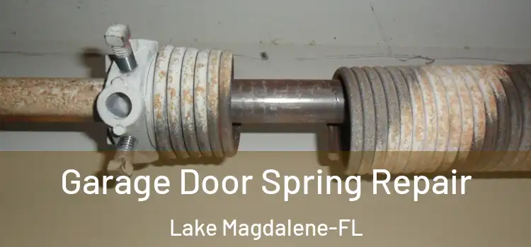 Garage Door Spring Repair Lake Magdalene-FL