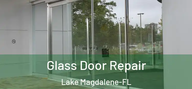 Glass Door Repair Lake Magdalene-FL