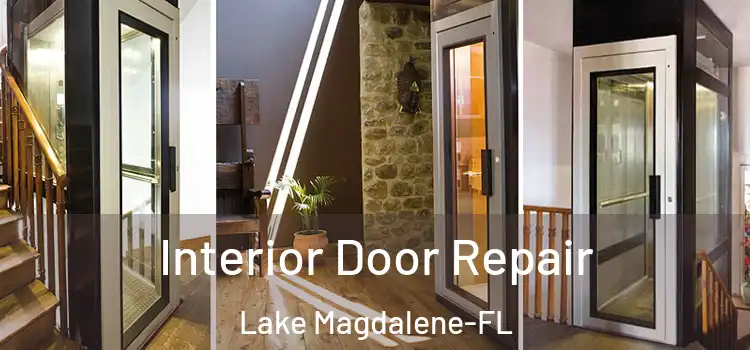 Interior Door Repair Lake Magdalene-FL