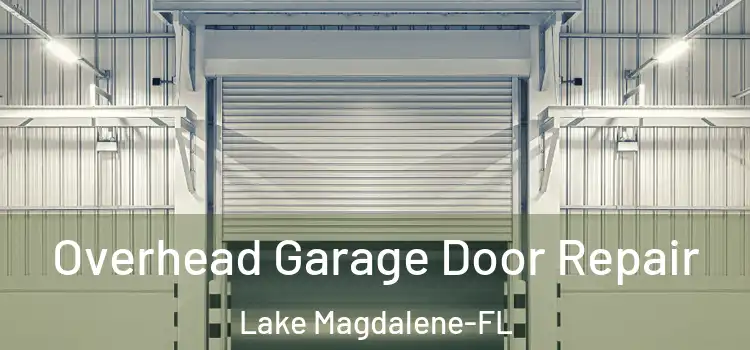 Overhead Garage Door Repair Lake Magdalene-FL