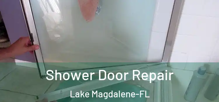Shower Door Repair Lake Magdalene-FL