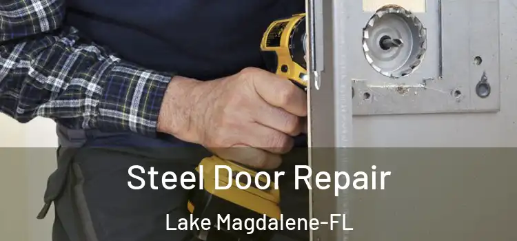 Steel Door Repair Lake Magdalene-FL