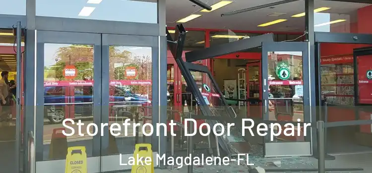 Storefront Door Repair Lake Magdalene-FL